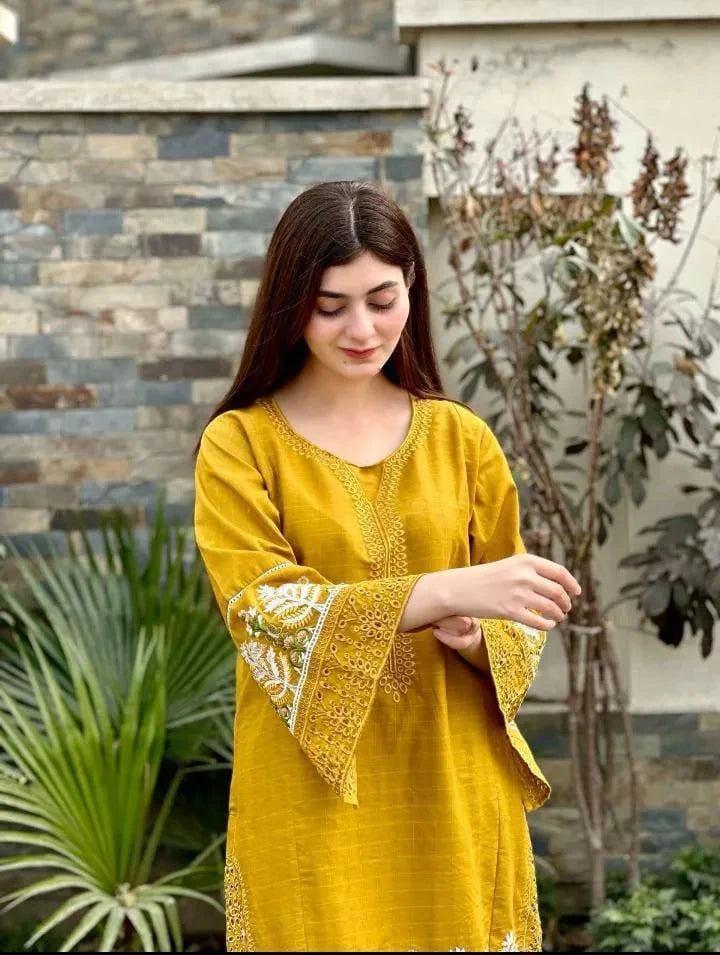 2 Pcs Women's Stitched Linen Embroidered Shirt And Trouser at One Spot